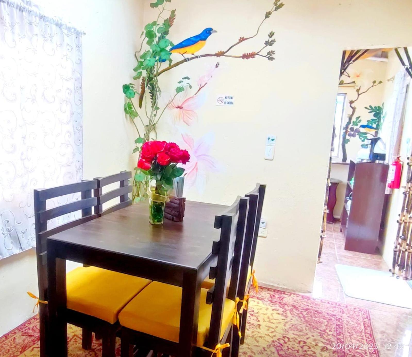 Itchimbia Garden Con La Mejor Vista De Quito Y Spa Εξωτερικό φωτογραφία
